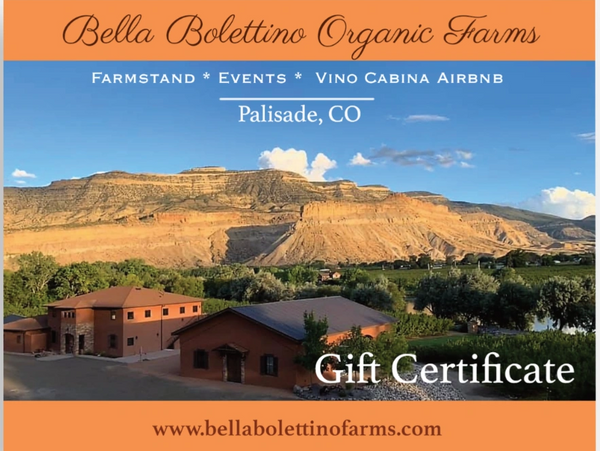 Purchase Gift Certificate for any amount.  We will mail the certificate to you to complete or we can