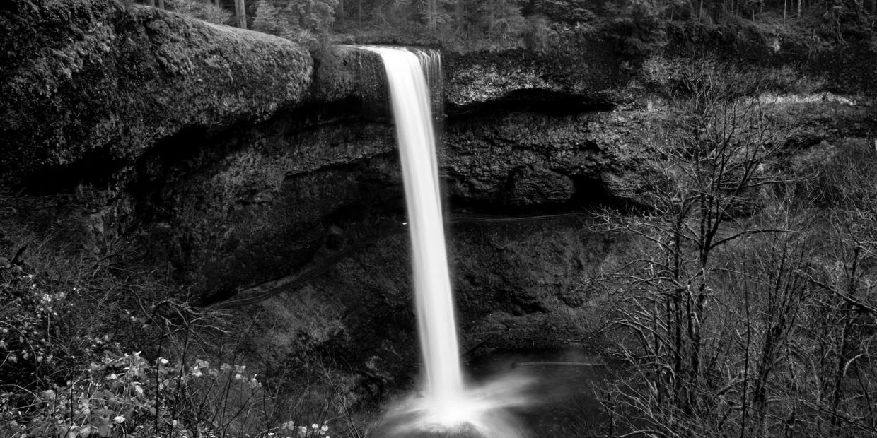 Black and white image of a waterfall in a forest.