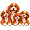 Dbo’s Furry Friends