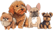 Dbo’s Furry Friends