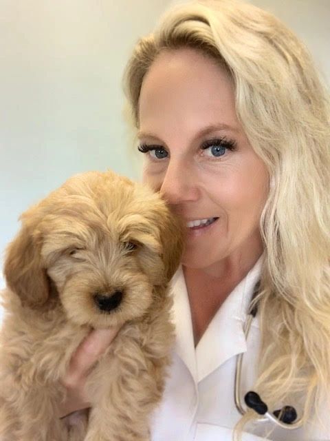 Hawkins Animal Hospital & Wellness Center logo