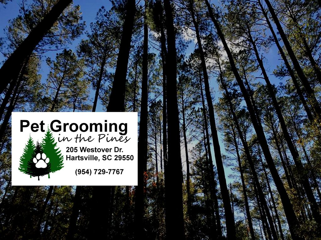Pet Grooming in the Pines Hartsville, SC 