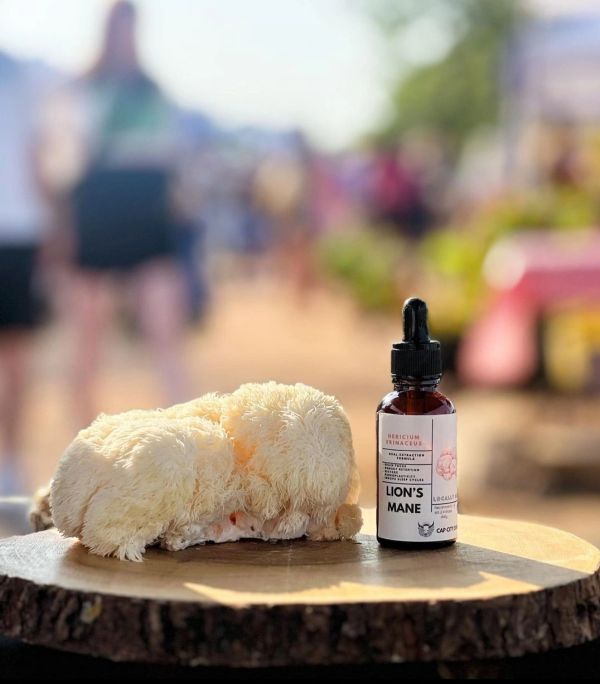 Lion's Mane Tincture
