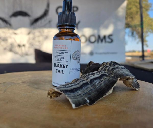 Turkey Tail Tincture
