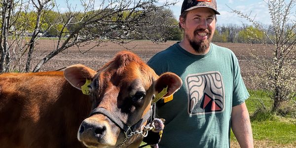 Man standing outdoors with a brown cow on a sunny day.