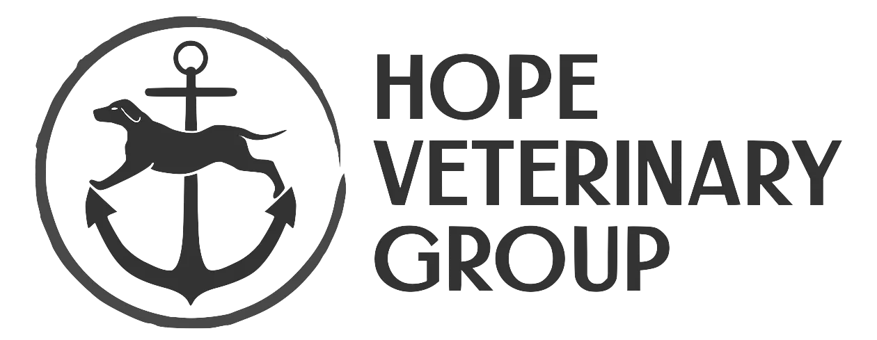 Hope Veterinary Group gallery