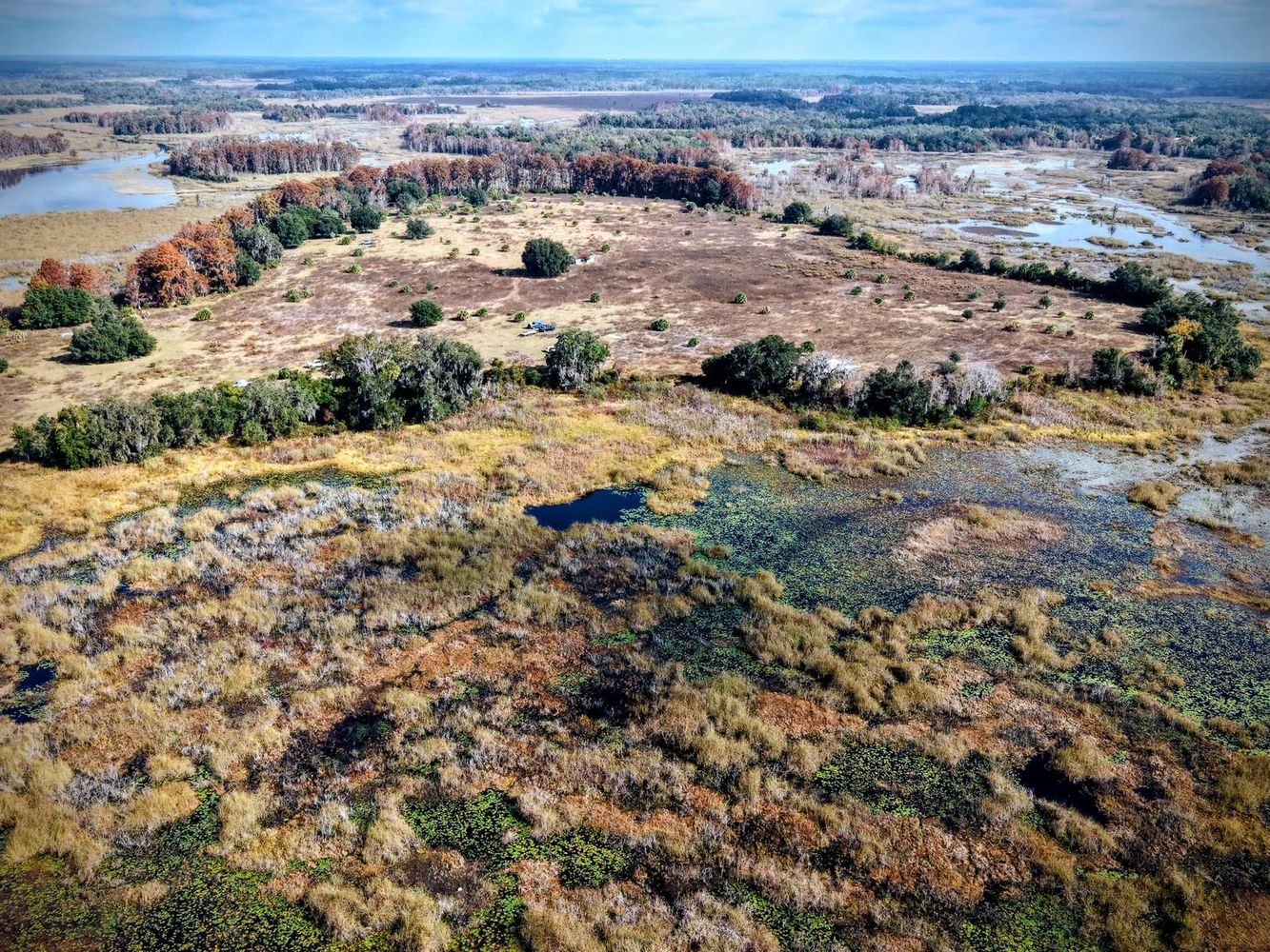 Aerial view of a wetland with patches of grass, water, and sparse trees.