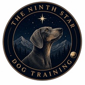 The Ninth Star Dog Training