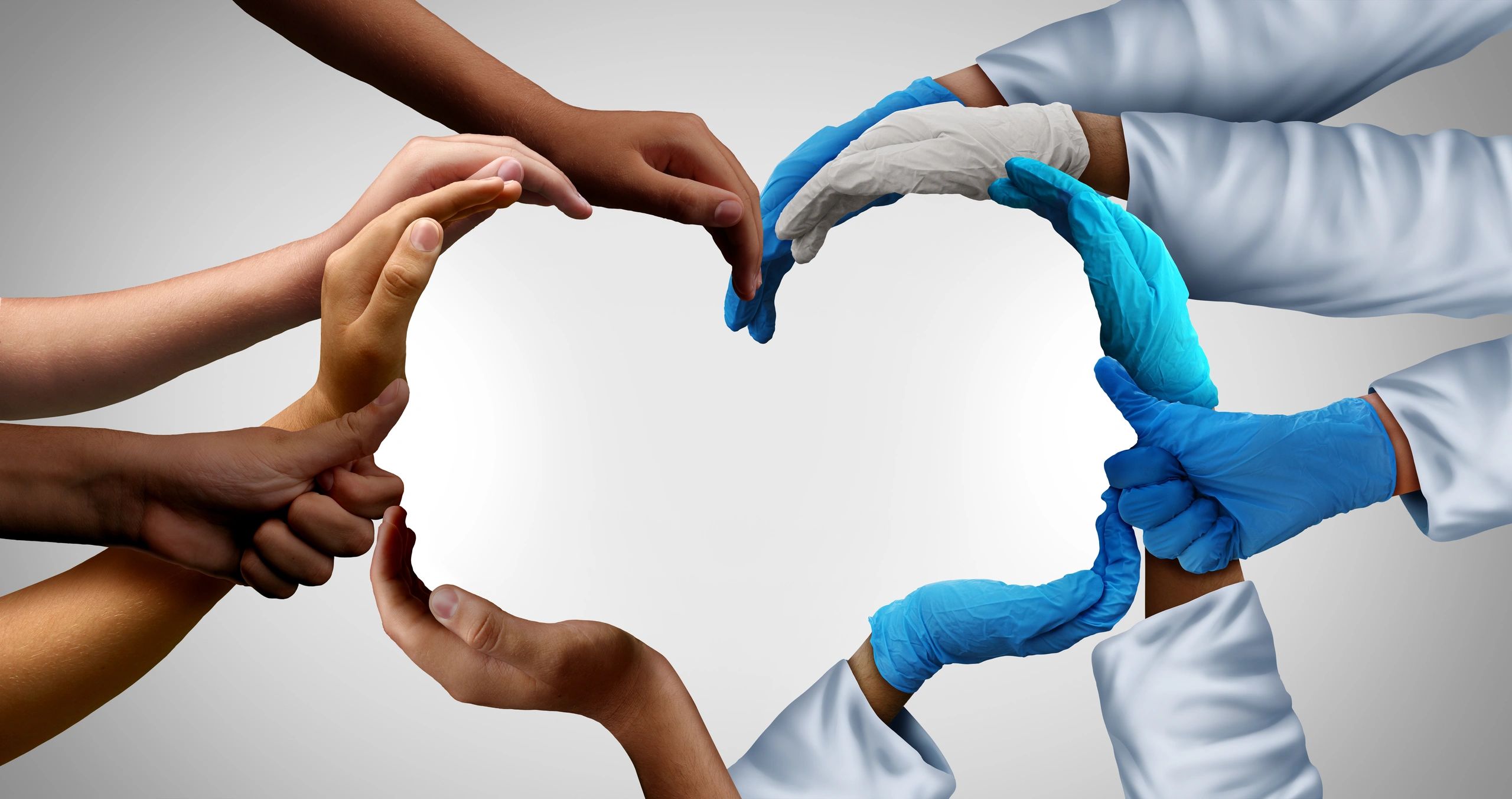 The Provider Partner