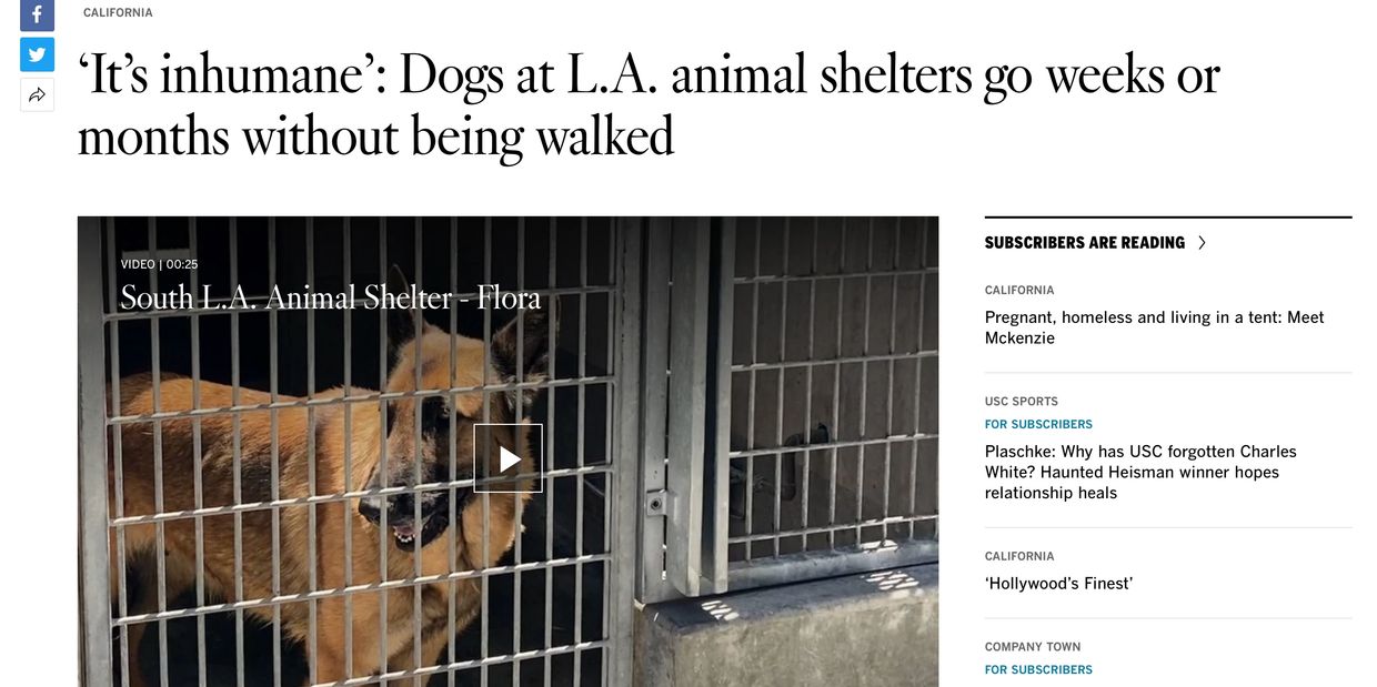 How to help the pets in L.A.'s animal shelters - Los Angeles Times