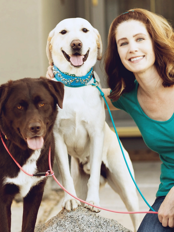 Smiling woman with two happy dogs, one white with a blue studded collar and one brown with a pink leash.
