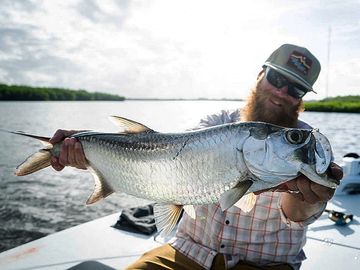 Tarpon on the fly Fishing Charter Indian River Lagoon Vero Beach Florida