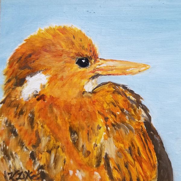 6" x 6" Oil on board