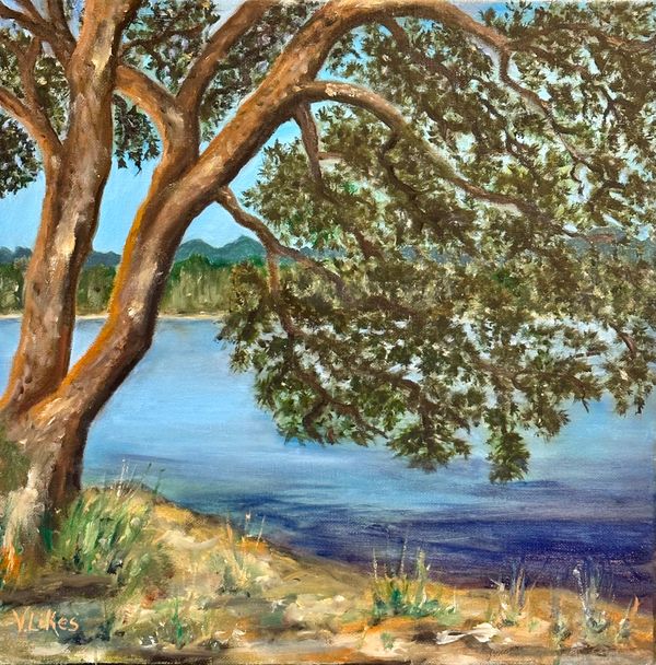 14" x 14" Oil on Canvas