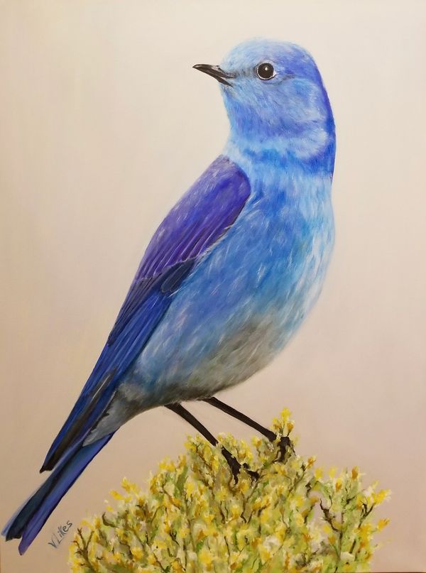 blue bird