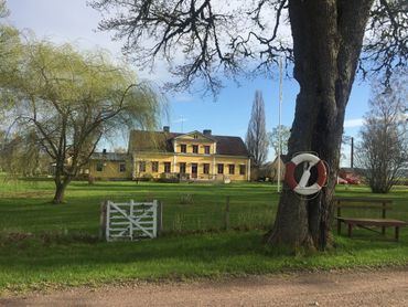 A yellow house with trees and a life preserver on a tree.