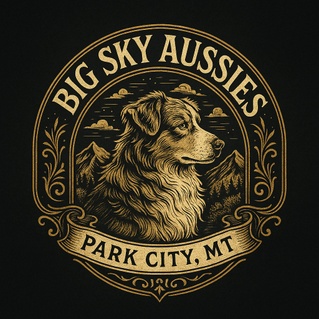 Big Sky Aussies