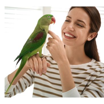 Woman smiling while interacting with a green parrot on her hand.