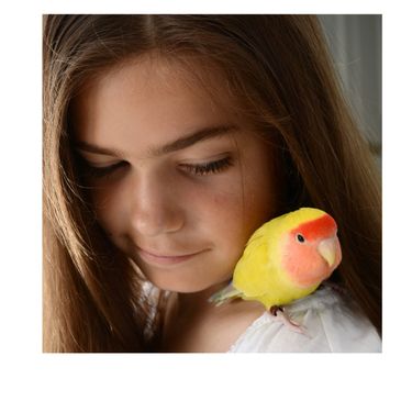 A girl with a colorful lovebird on her shoulder.