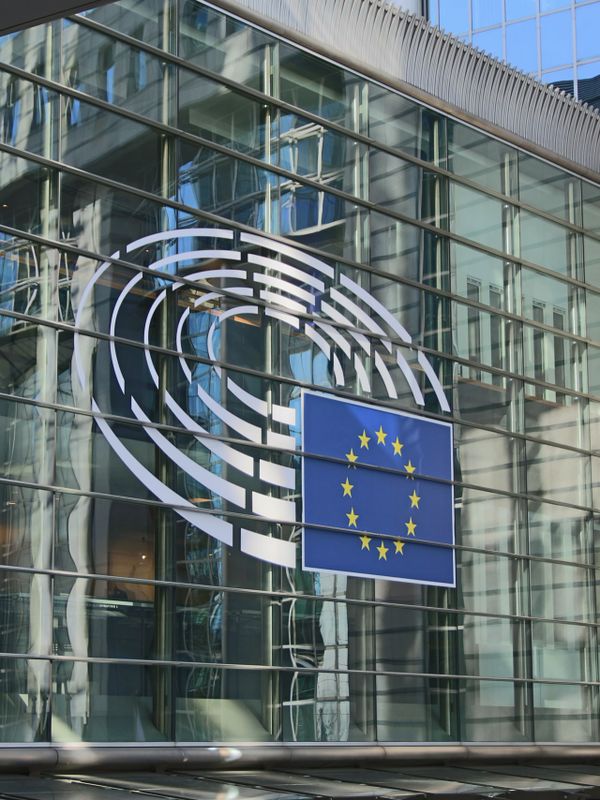 European affairs, consultancy, public affairs, international, advocacy, outreach