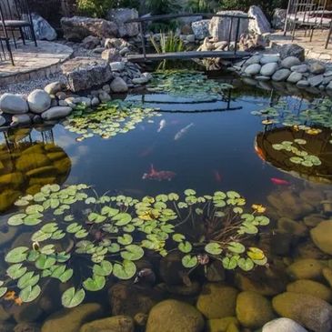 A serene garden pond with lily pads, fish, and surrounding stones.