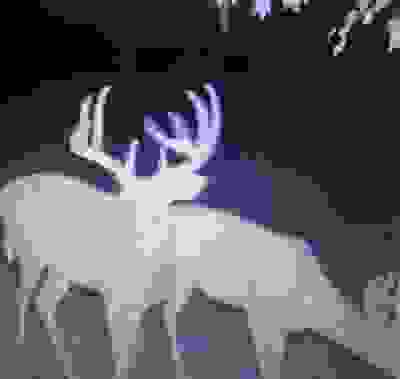 Where to Find Us? | Buck Yum