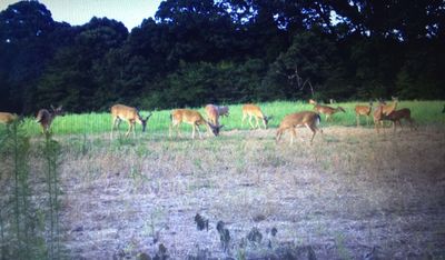 Where to Find Us? | Buck Yum