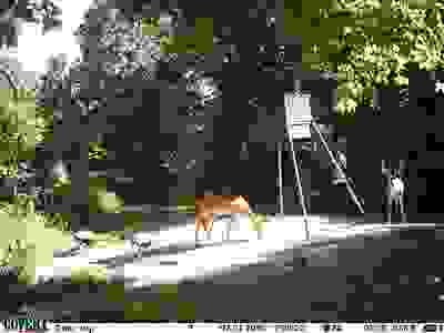 Where to Find Us? | Buck Yum