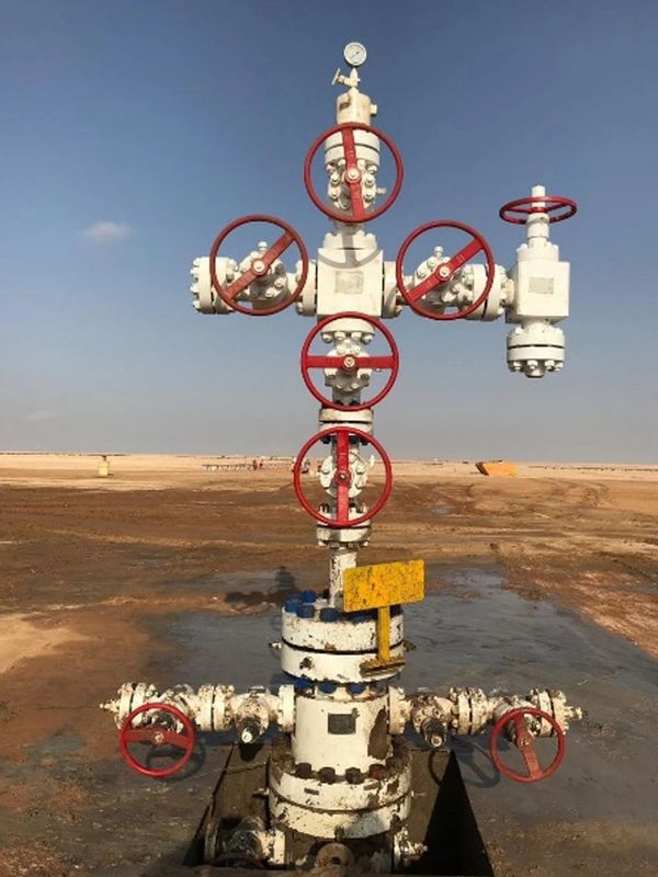 White industrial valve with red handles in a barren landscape.