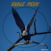 Eagle  Peek