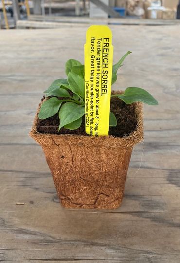 OMRI listed, biodegradable container
