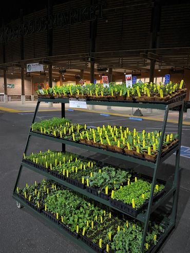 First delivery of the year to Whole Foods - Stevens Creek. Biodegradable containers included !