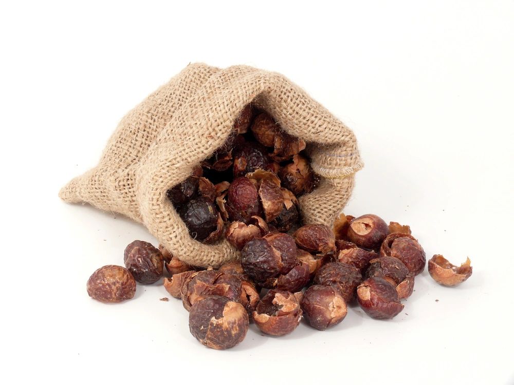 Soap Nuts A Natural Diy Option For Your Laundry - 