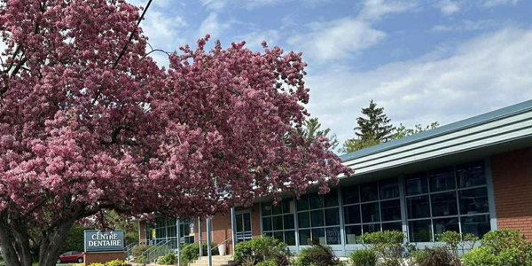 Arbre en fleurs roses devant un centre dentaire par une journée ensoleillée.