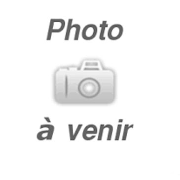 Place réservé pour une photo à venir.