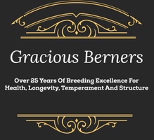 Gracious Berners