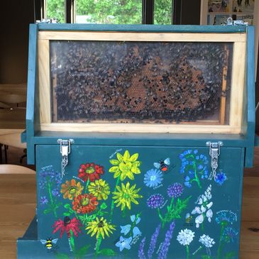 observation bee hive