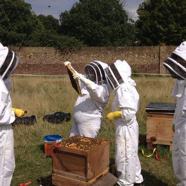 Fulham Palace bee keepers