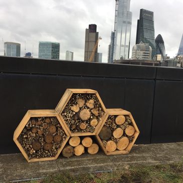 Nomura bee hotels