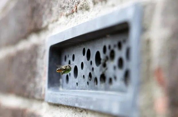 Busting through the Bee Brick Bullshit
