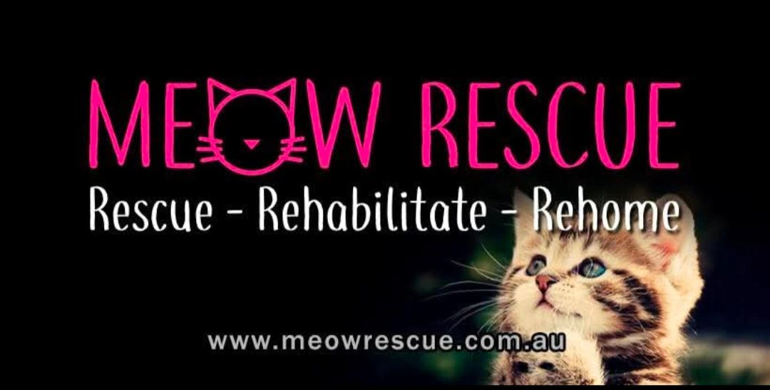 Meow Rescue Inc. logo