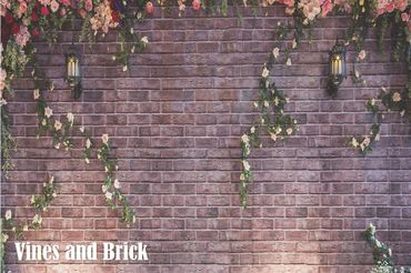 photo booth backdrops, backdrop rental, backdrop