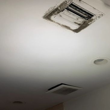 Bathroom air conditioning vent covered by mold.