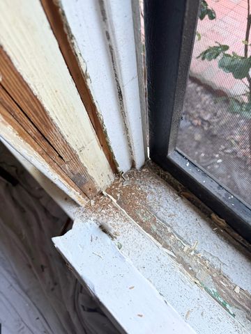 Glazing broken Glass spring bronze Weatherstripping Rot Termite fix historic window resoration open