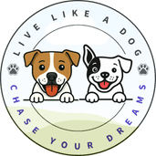 Live Like A Dog Today