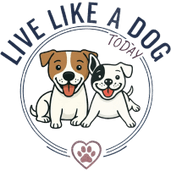 Live Like A Dog Today