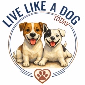 Live Like A Dog Today