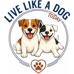 Live Like A Dog Today