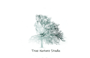 True Nature Studio