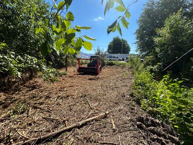 Clearing thick brush